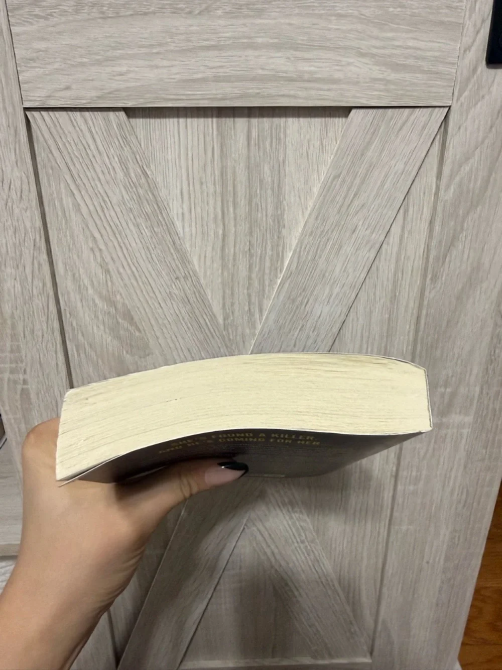 The Profiler by Helen Fields